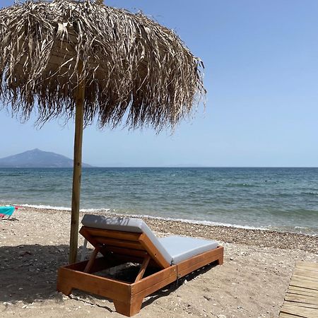 Hotel Ireon Beach Exterior photo